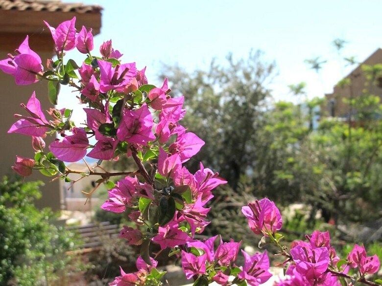 Villa Cole, Lavanta, Kalkan
