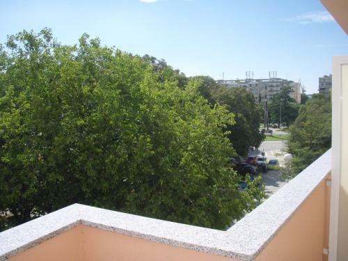 Apartments Vasic