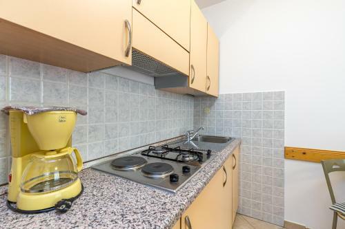 Apartments Vasic
