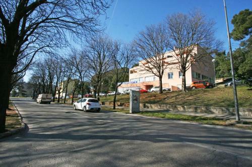 Apartments Vasic