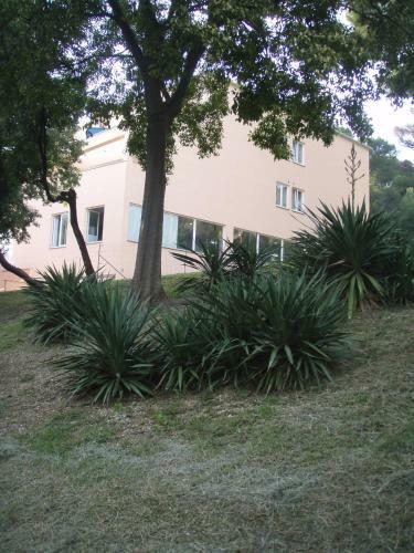 Apartments Vasic