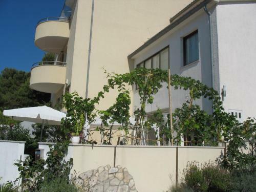 Apartments Eva