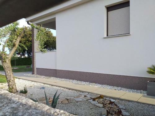 Apartments Bolt