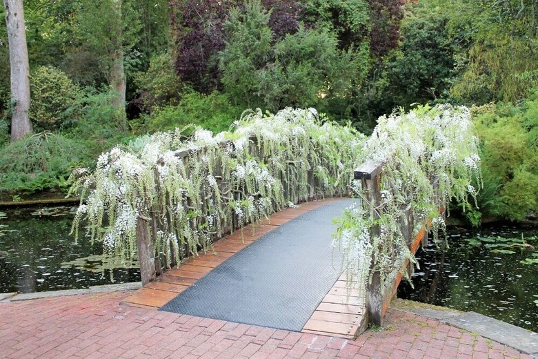 Pinetum Garden Cottages