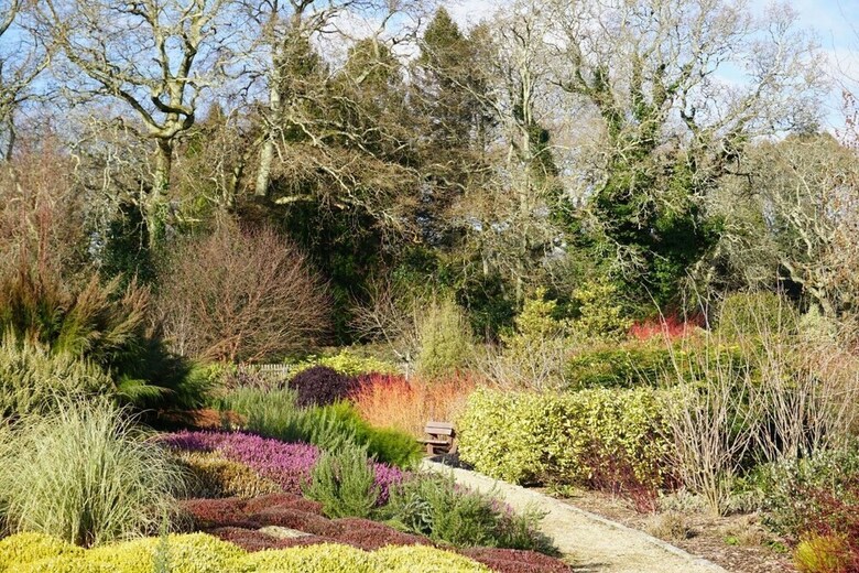 Pinetum Garden Cottages