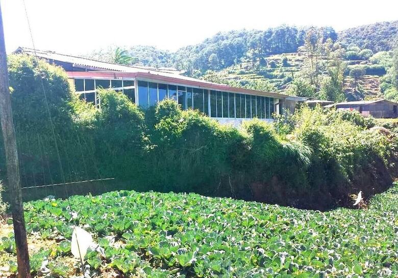 Hotel Windy Hills Holiday Bungalow