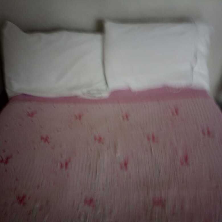 Hotel Orchards Lodge