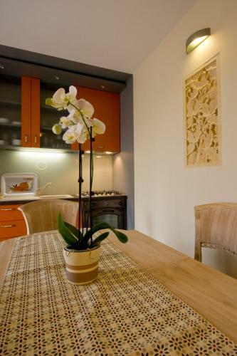 Rooms And Apartments Villa Dama