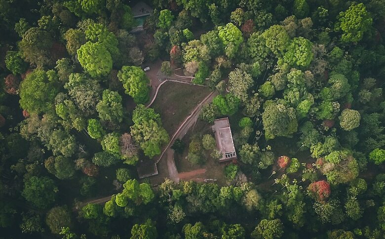 Apartamento Vythiri Wild Forest Resort