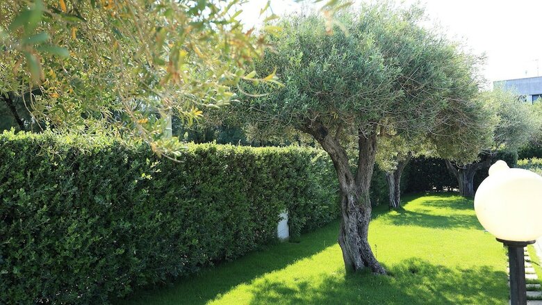 Residencia Nettuno Resort