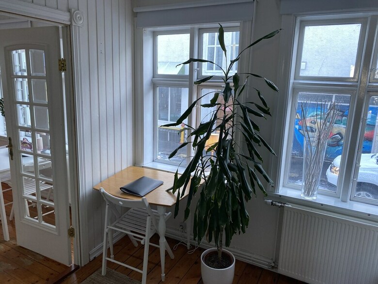 Rustic Style Apartment