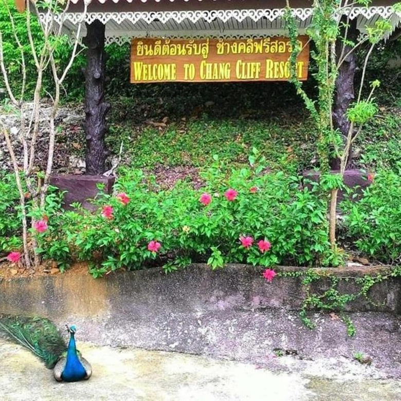 Apartamento Chang Cliff Resort