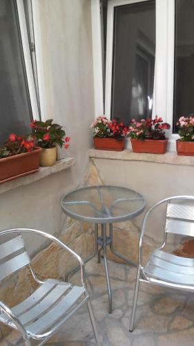 City Apartment Goga