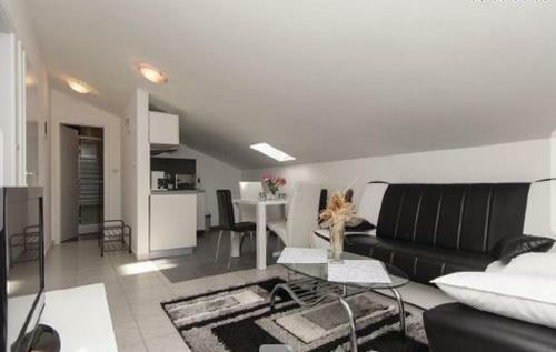 Apartments Villa Excellente Belvedere