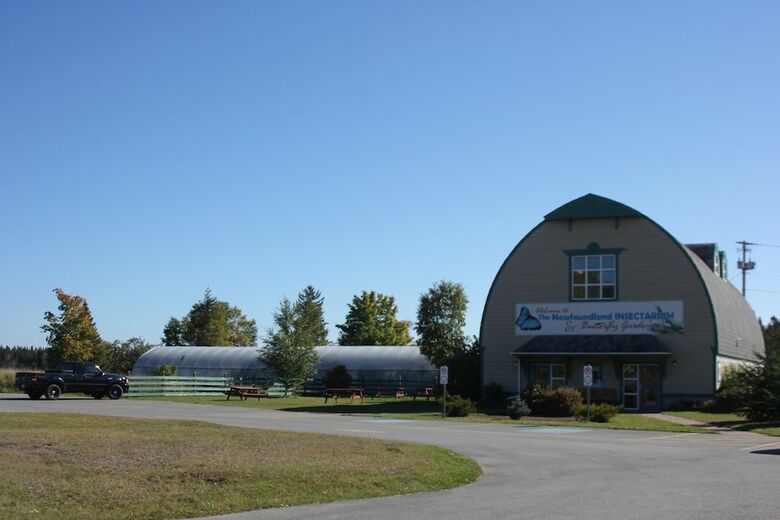 Hotel Holiday Inn Express Deer Lake
