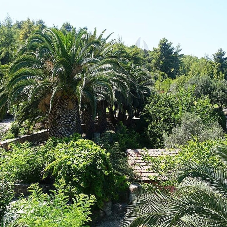 Hotel Cesme Koy