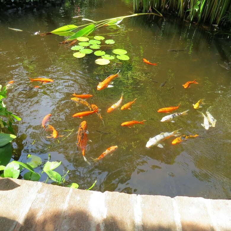 Apartamento The Watergarden