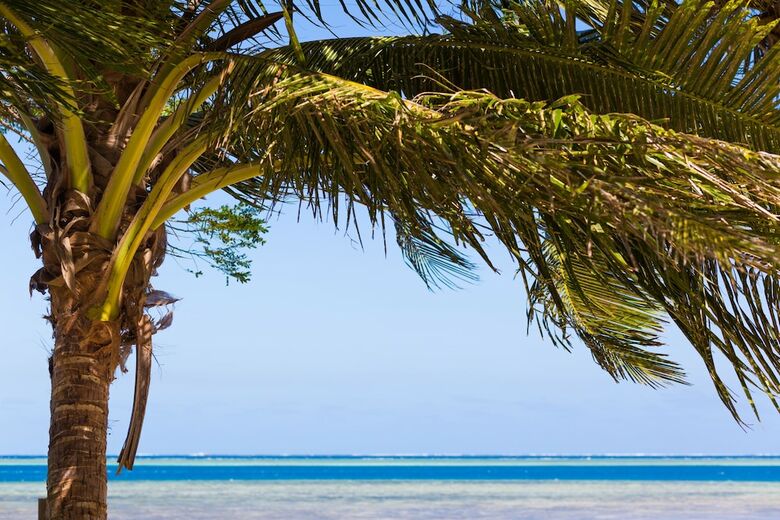 Hostal Funky Fish Beach & Surf Resort - Hostel