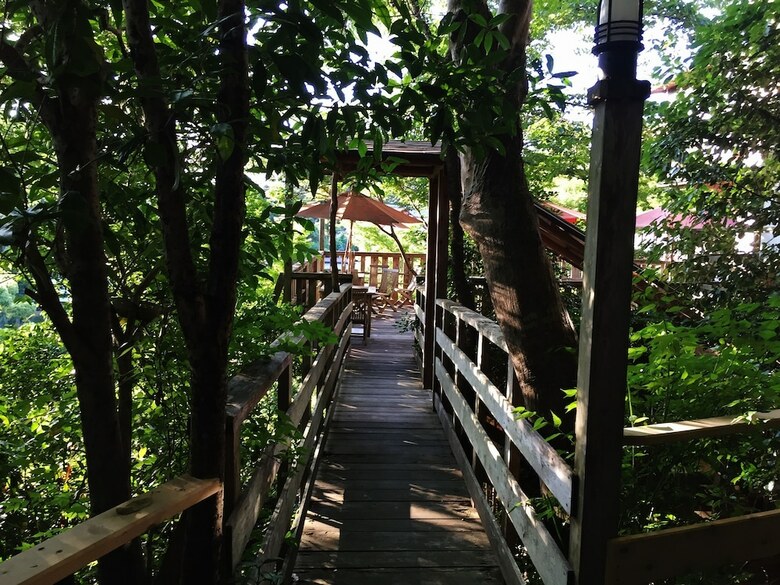 Sakoya -yoshino-