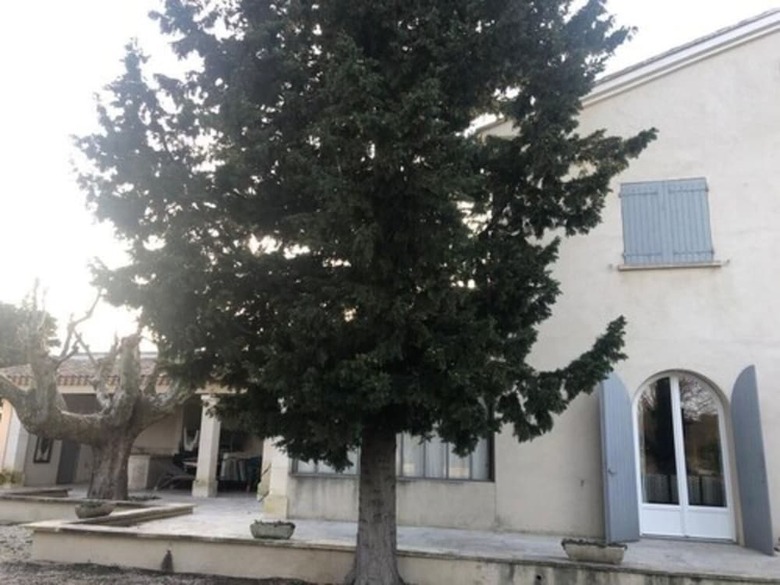 Bed & Breakfast Chambres D'h�tes Mas de L'evidence