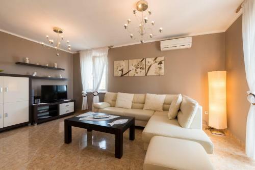 Apartment Drenje 1