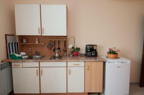 Hostal Apartments & Rooms Ribari?