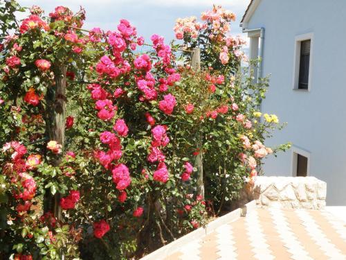 Apartamentos Villa Roze