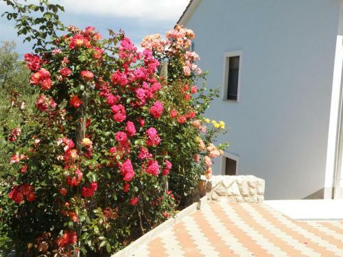 Apartamentos Villa Roze