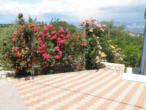 Apartamentos Villa Roze