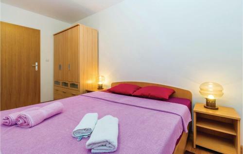 Apartment Cizici V