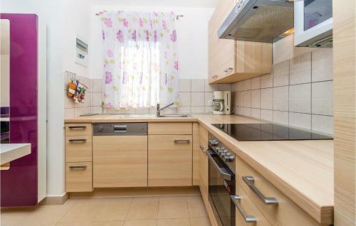 Apartment Cizici V