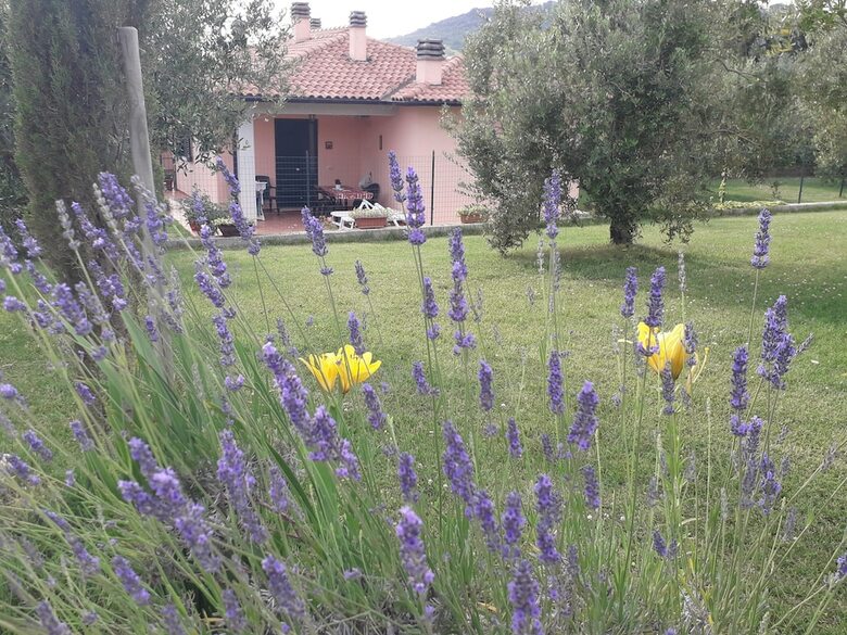 Apartamento Residence Bartolini Ai Campi Da Golf