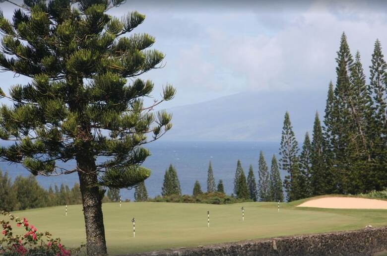 Penthouse Oasis At Hale Ono Loa