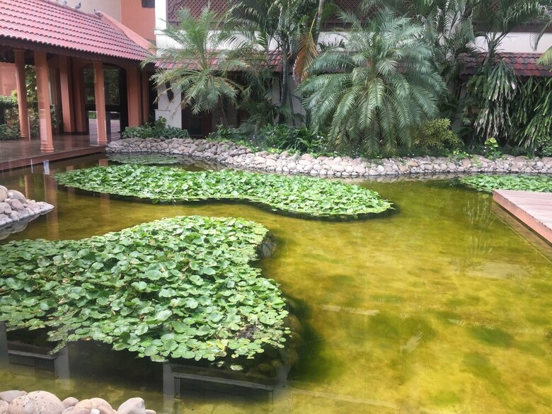 Apartamento Madhubhan Resort & Spa
