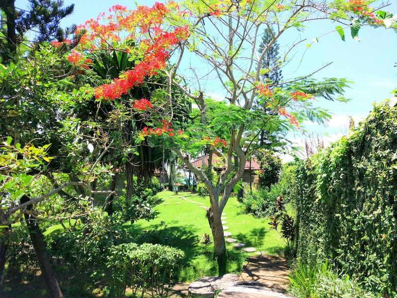 Apartamento Gajah Mina Beach Resort