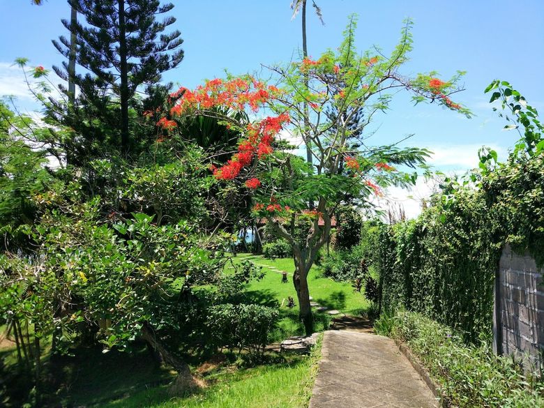 Apartamento Gajah Mina Beach Resort