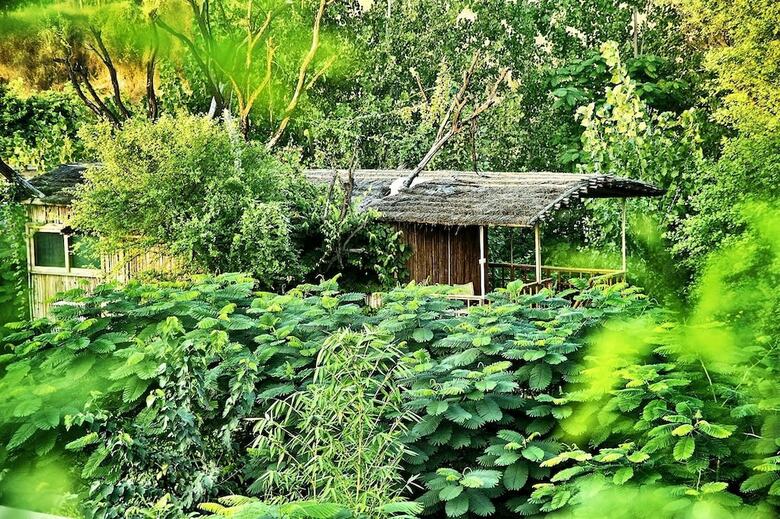Apartamento The Tree House Resort