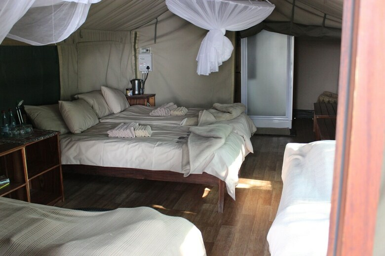 Ndhovu Safari Lodge - Campground