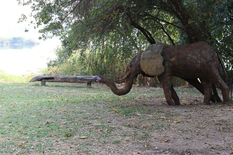 Ndhovu Safari Lodge - Campground