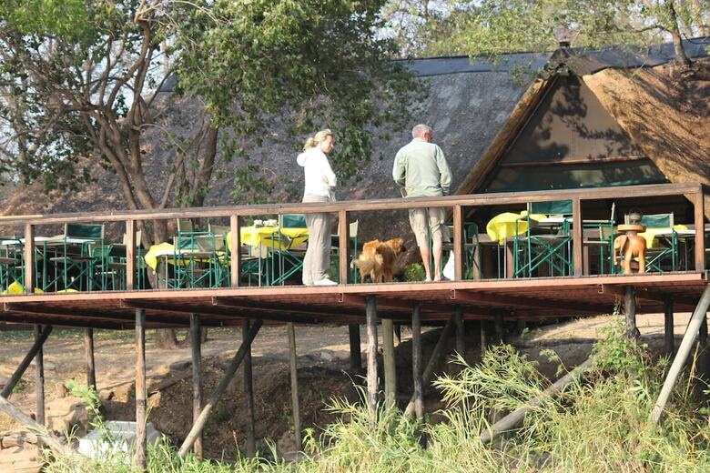 Ndhovu Safari Lodge - Campground