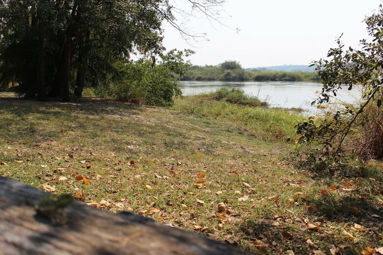 Ndhovu Safari Lodge - Campground