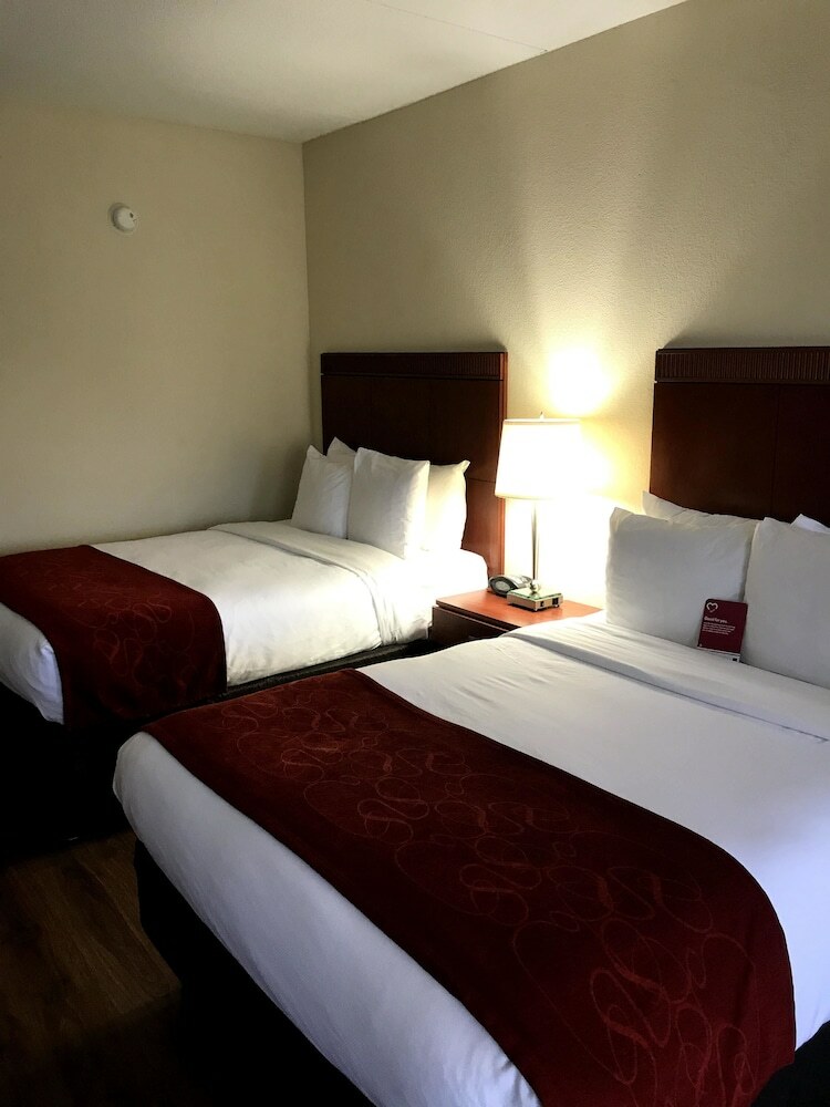 Hotel Comfort Suites Outlet Center