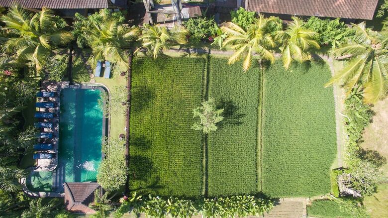 Hotel Bliss Bungalow