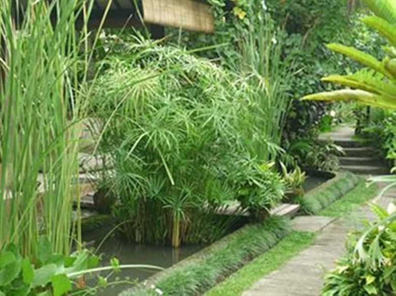 Hotel Bliss Bungalow