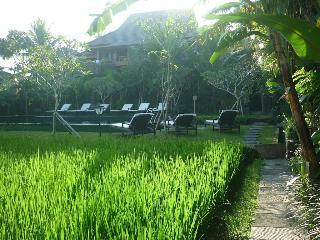 Hotel Bliss Bungalow