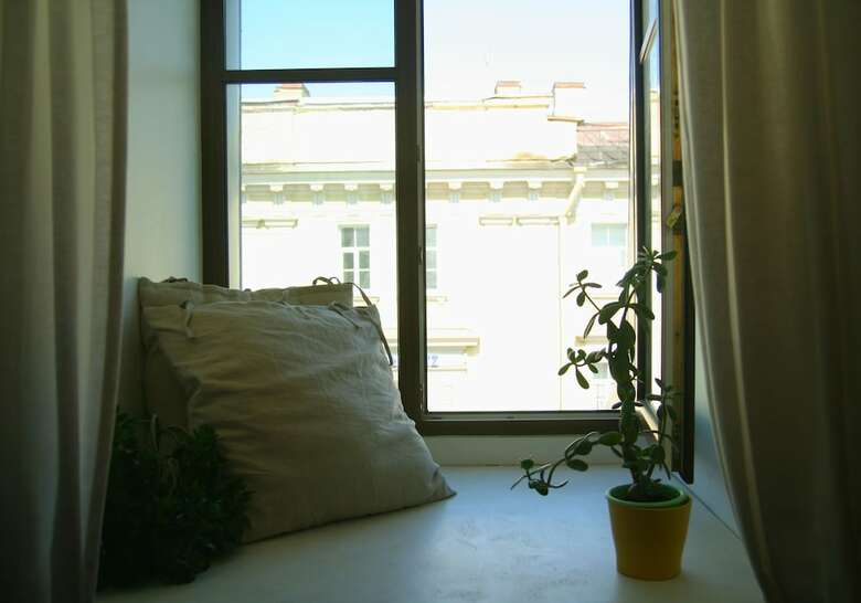 Hostal Baby Lemonade Hostel
