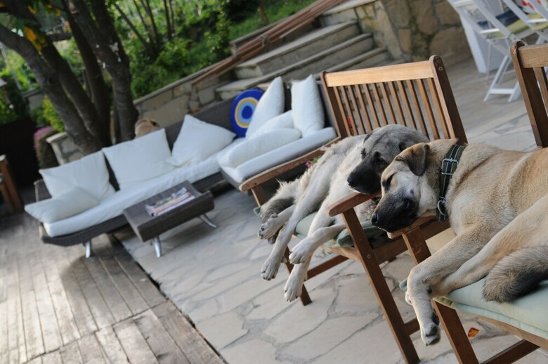 Hotel Beyaz Ev Agva - Adults Only