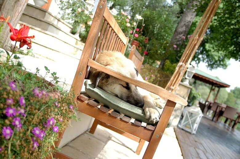 Hotel Beyaz Ev Agva - Adults Only