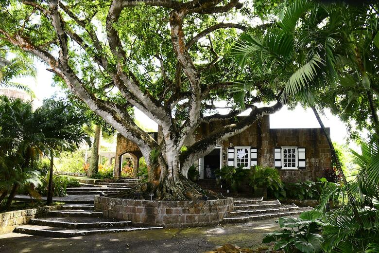 Hotel Montpelier Plantation & Beach