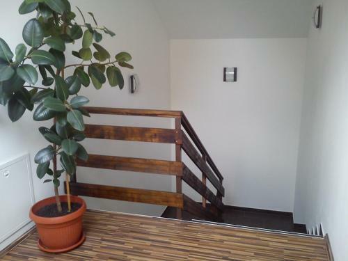 Hostal Guest House Buk